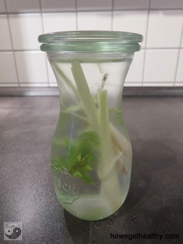 Infused Water - Zitronengraß-Minze